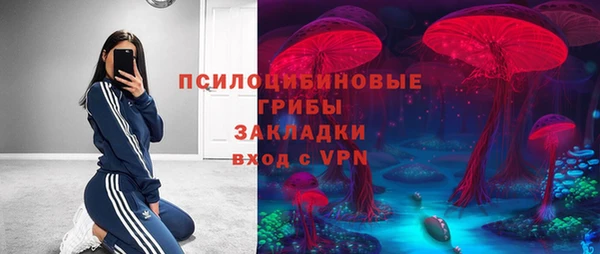 соль ск Бородино