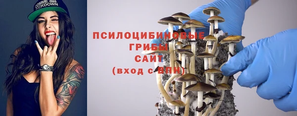 Альфа ПВП Бугульма