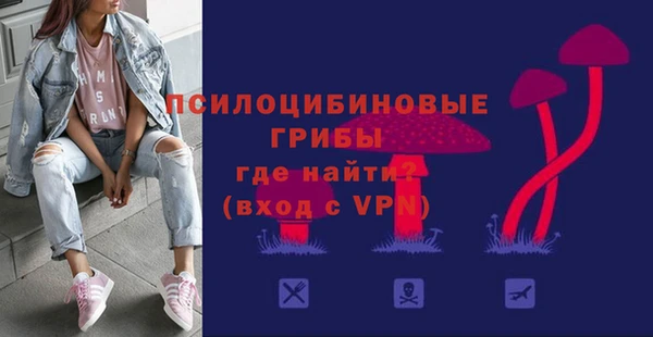 Альфа ПВП Бугульма