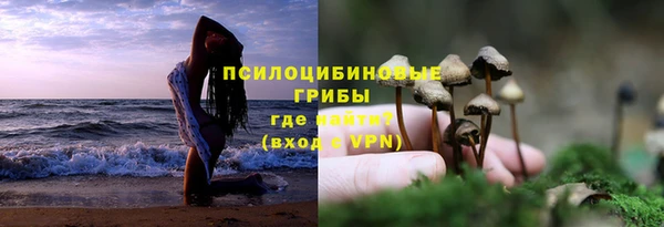соль ск Бородино