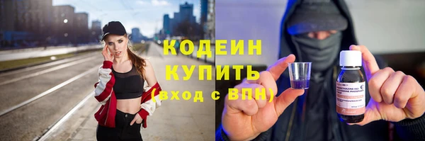 соль ск Бородино