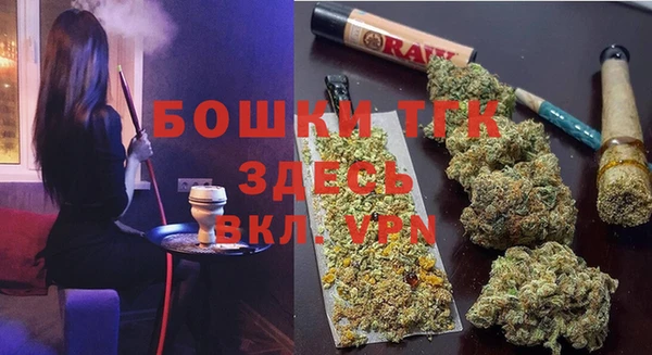 соль ск Бородино