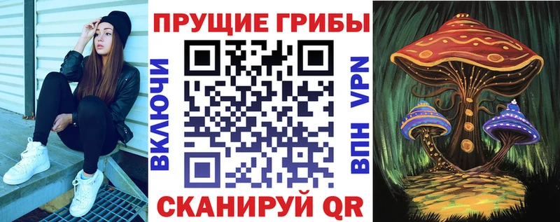 купить   Волжский  Псилоцибиновые грибы Psilocybe 
